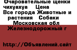 Очаровательные щенки чихуахуа  › Цена ­ 25 000 - Все города Животные и растения » Собаки   . Московская обл.,Железнодорожный г.